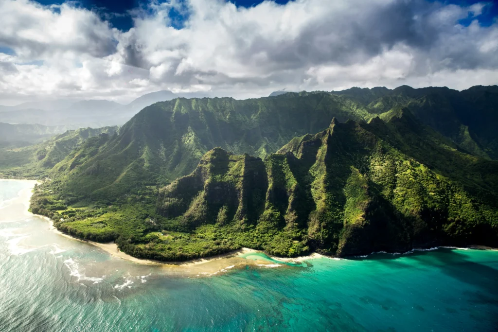 Volcanic coastline and tropical rainforest in Hawaii